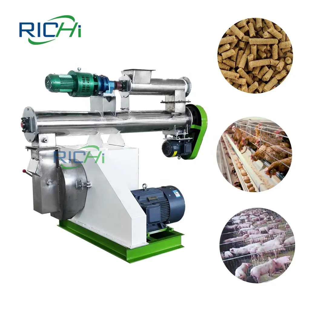 RICHI 1-2T/H Pollo Cabra Cerdo Máquina de pellets de alimentación para la venta Filipinas Malasia India Pakistán Kenia