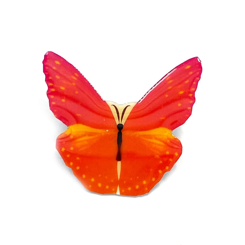 Printed Lapel Pin
