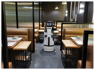 ロボット自動受信人間型ロボットデザインスマートAI支援インテリジェントサービス2025 - Product Image 6