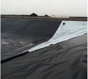 Su geçirmez projeler çatı bodrum yeraltı için kumlar ile HDPE geomembran kum kaplı tip HDPE su geçirmez membran - Product Image 1
