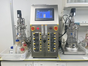 7L-4 Fermenter Fermentation bioreactor reducing manual intervention and errors. - Product Image 3