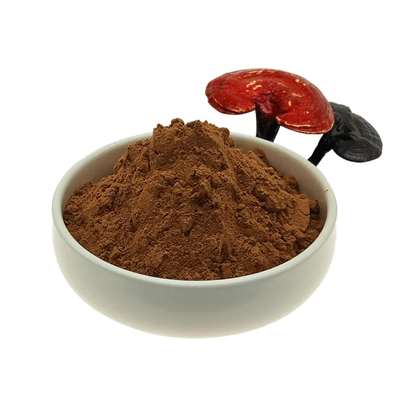 Cao cấp Reishi Nấm Mushroom extract bột, có nguồn gốc từ chất lượng cao thực vật tự nhiên chiết xuất cho tối ưu lợi ích sức khỏe