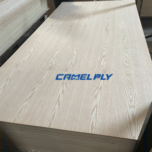 Profesyonel sertifikalı ticari kontrplak 3mm 5mm 6mm 9mm 12mm 18mm kavak üreticileri Okoume/çam/Bintangor kontrplak karşı karşıya - Product Image 5