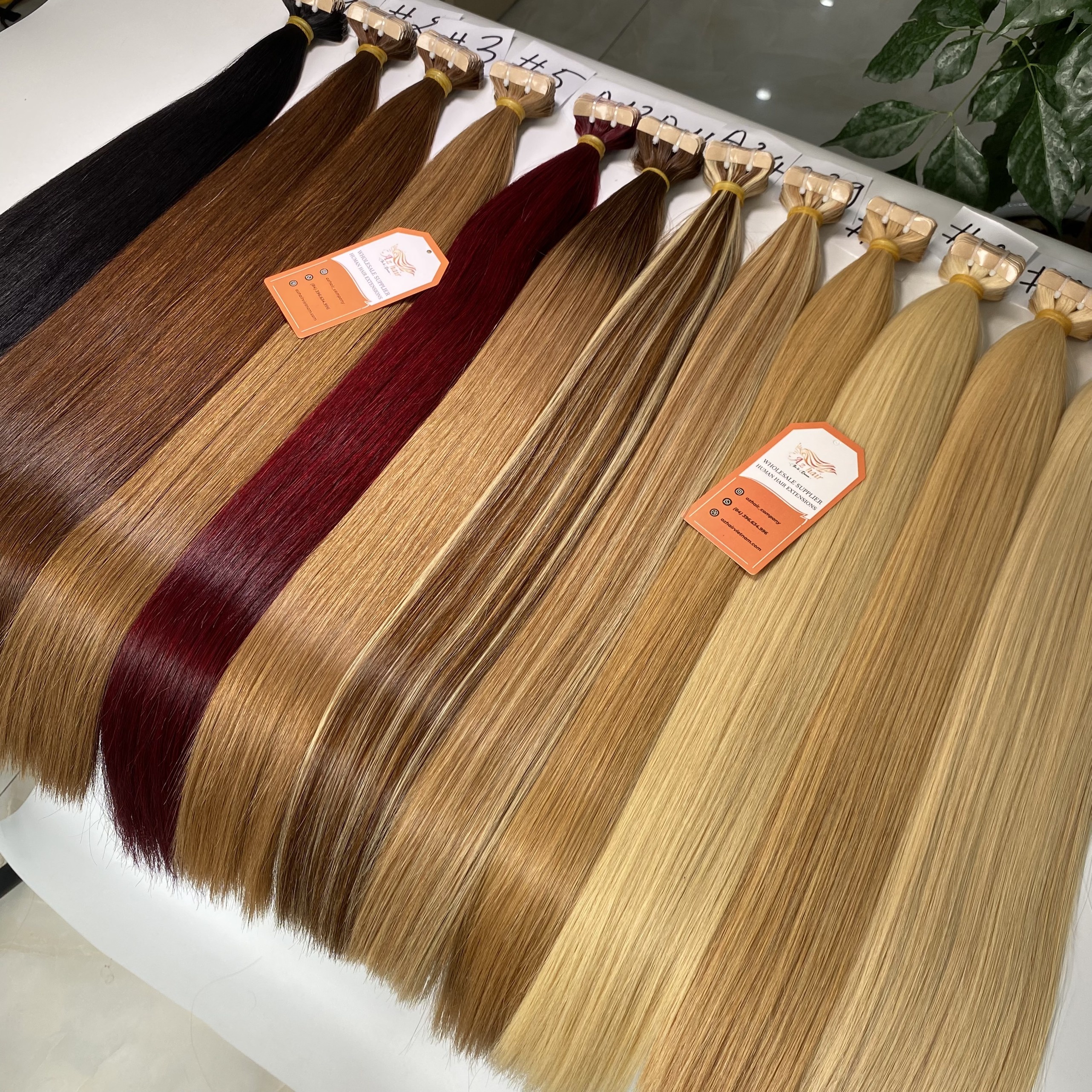 Différentes couleurs
