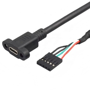 カスタムマザーボード2.54Mmヘッダー5ピンUsb Type-C Usb-C女性インターフェースパネルマウントソケットアダプター延長ケーブル
