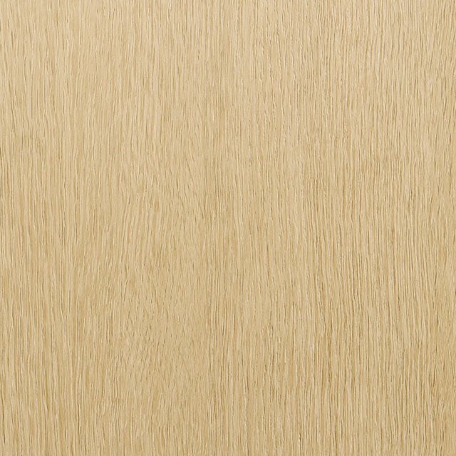 SW06-5090L