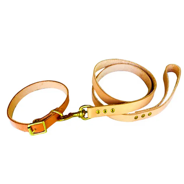 Pet Dây Xích Tùy Chỉnh Mạnh Mẽ Da Dây Xích Chó Với Phù Hợp Với Vòng Cổ Brass Vàng Snap Hook Cho Vật Nuôi Sản Xuất