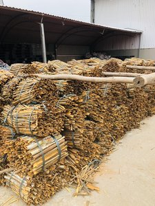 GULFOOD 2025 sigara CASSIA yüksek kalite doğal tarçın çubukları en iyi fiyat kökeni Vietnam 84916477392 en iyi lezzet kırmızı biber