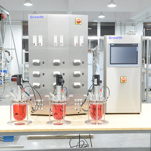 1L-15L Double Layer Glass Fermentation Vessel Famous Brand PLC Automatic <strong>Equipment</strong> Cell Culture Glass Bioreactor for Lab Use - Product Image 1