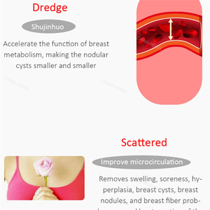Breast Pain and <strong>Nodules</strong> Medical Plaster Health and Personal Care Organic Health Care <strong>Products</strong>