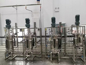 נירוסטה פרמנטור bioreactor יין פרמנטור טנק עם מיקסר חומץ תסיסה