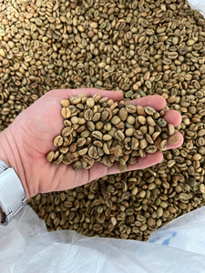 Màu xanh lá cây Excelsa hạt cà phê Excelsa sạch đầy đủ rửa sạch Xuất xứ quang Tri Việt Nam bao bì số lượng lớn 60kg bán buôn Chất lượng cao - Product Image 3