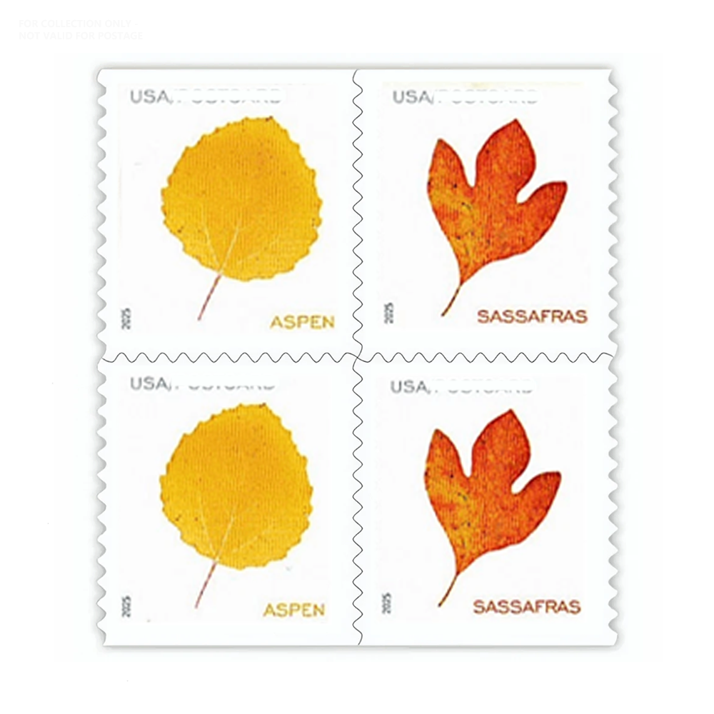 Blanc Y242 2025 Feuilles vibrantes 100pcs