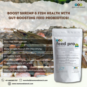 Biofloc System <strong>Enhancer</strong> Probiotic Feed Additives for Shrimp Health - Product Image 4
