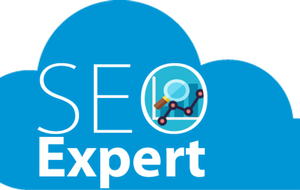 Offering Advanced SEO Specialist Services for Improve Ranking of IT Infrastructure Firm - Product Image 5