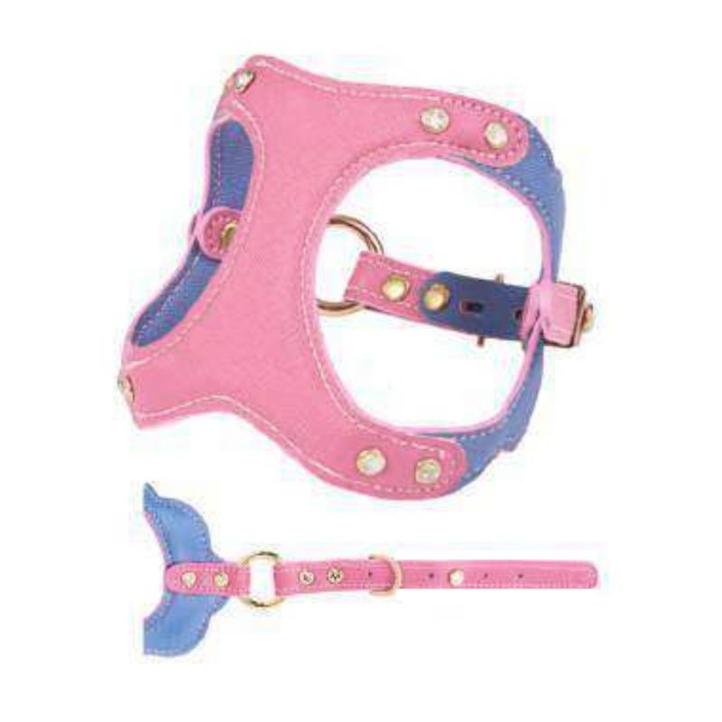 C26 - Hotpink&Deepblue