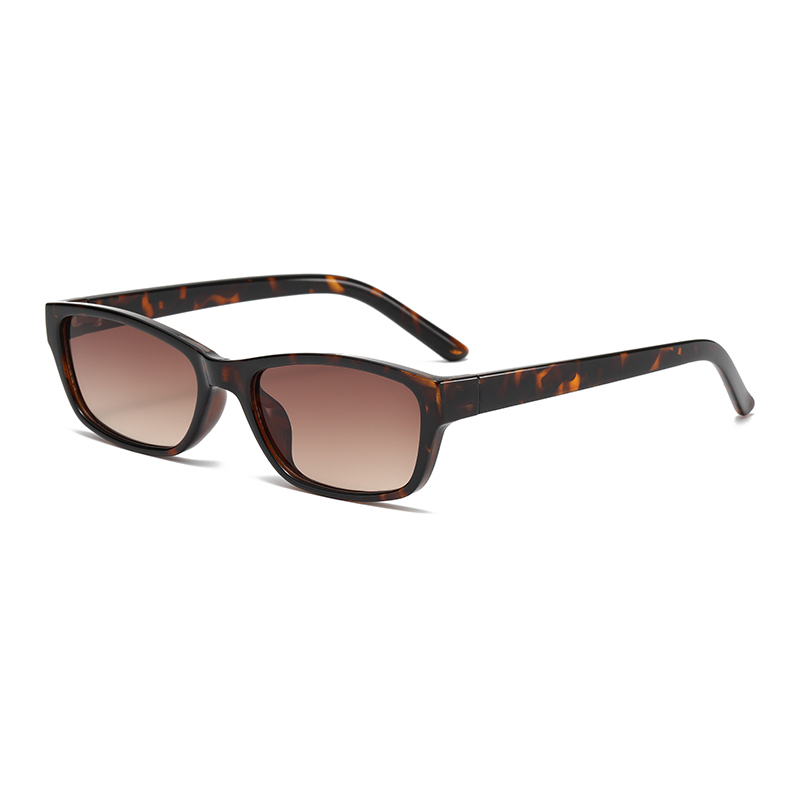 C3: Tortoise/ Brown Gradient