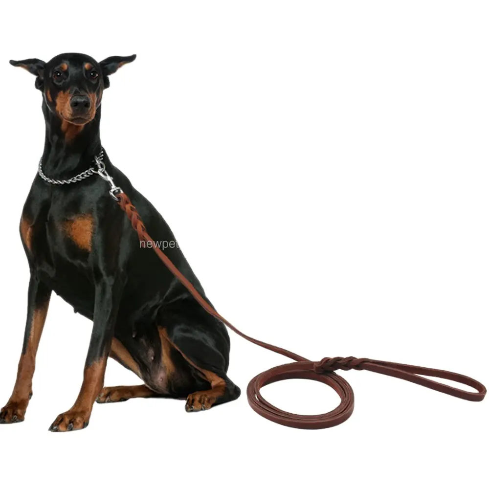 Correa de cuero para perros pequeños, medianos y grandes, diseño personalizado, logotipo, mayorista, mejor precio