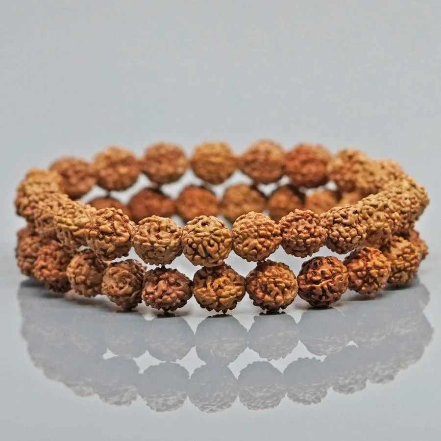 Rudraksha
