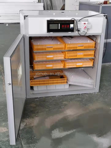 Incubadora de huevos solar automática de huevos de gallina 528 en África Incubadora DE TRABAJO solar y eléctrica de sistema dual de - Product Image 4