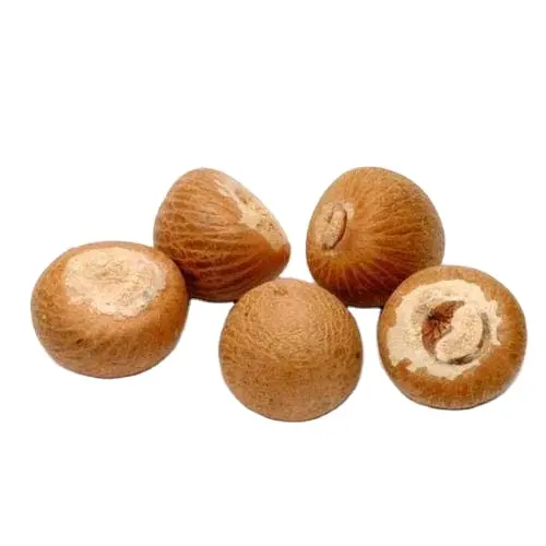Dried betel nut with competitive price from Vietnam