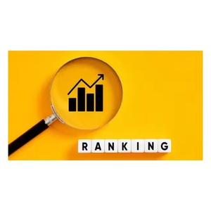 Kullanıcılar için profesyonel SEO hizmetleri yüksek talep ve makul fiyatlı Internet sürümü Hindustan Soft mevcut