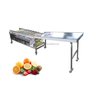 Walnut Fruit Palm Date Cup Orange Mangosteen Pepper Carrot Potato Track Ball Size Sort <strong>Sorting</strong> Machine for Waxing - Product Image 3