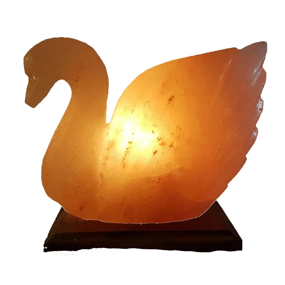 Lampes à sel en forme de cygne et de canard Feng Shui fabriquées à la main, décoration sculptée de différentes tailles par Sian Enterprises