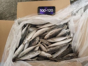 中国最畅销DCP磷酸氢钙饲料等级动物最大袋鱼白狗鸡冷冻大眼鱼饲料