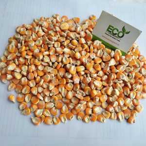 印度小尺寸黄色玉米，高档食品营养丰富，从印度出口50公斤包装