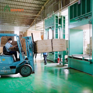 LVB现代Plywoods家具装饰杨木自然色沙发架E0国际级VB板主要做桦木