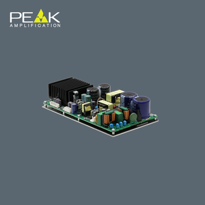 2x250 Вт модуль усилителя мощности - Product Image 3