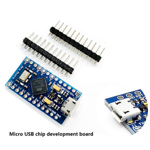 <strong>Pro</strong> Micro/<strong>Pro</strong> <strong>Mini</strong>/<strong>Pro</strong> Type-C USB ATMEGA32U4 Development Board Revised