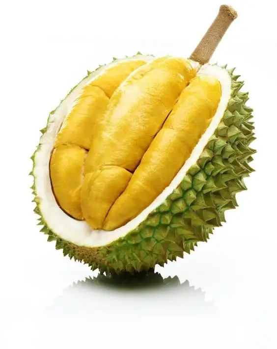 Frozen Durian Hoge Kwaliteit Van Vietnam-Heerlijke Smaak-De Goede Optie Voor U In Dit Seizoen-Laten We Het Proberen!