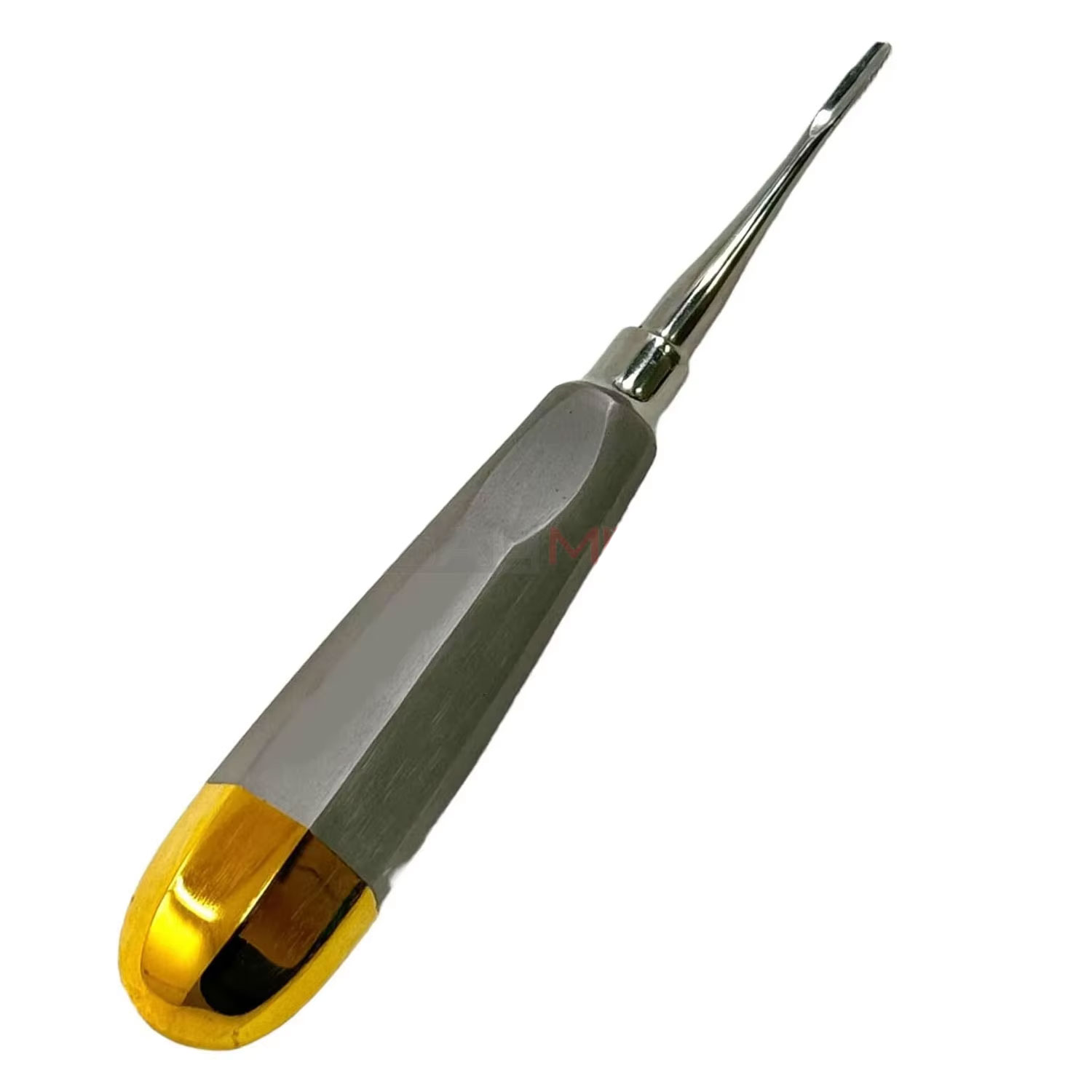 Dental Extraction Root Elevator