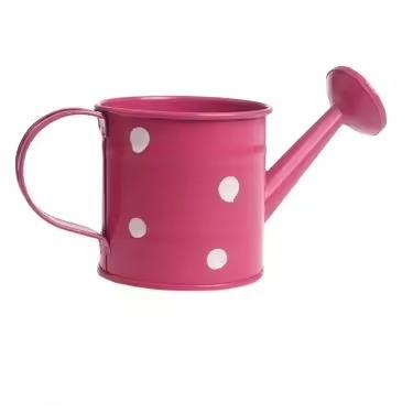 ตามที่แสดง