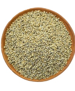 印度提供最优质的印度绿色小米，用于动物饲料 - Product Image 4