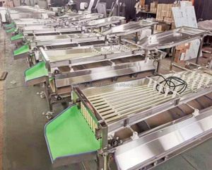 Walnut Fruit Palm Date Cup Orange Mangosteen Pepper Carrot Potato Track Ball Size Sort <strong>Sorting</strong> Machine for Waxing - Product Image 6