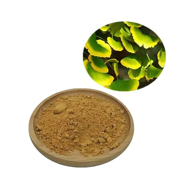 Food Grade Natuurlijke Ginkgo Leaf Extract Bulkprijs Groothandel Ginkgo Bladpoeder