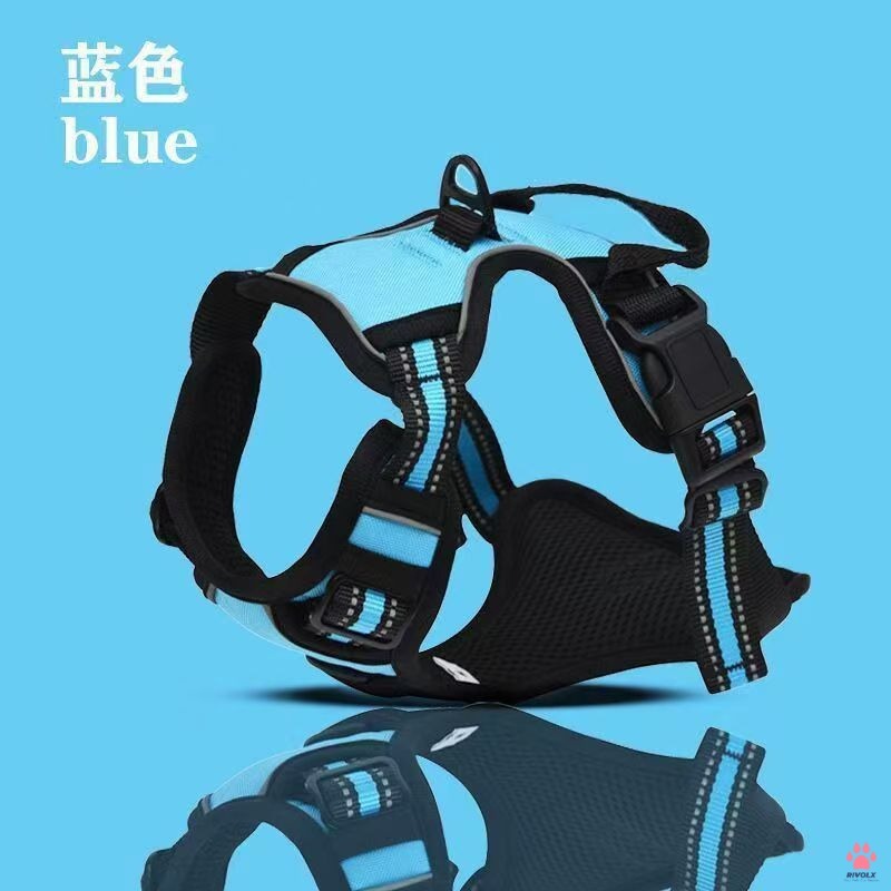 Bleu