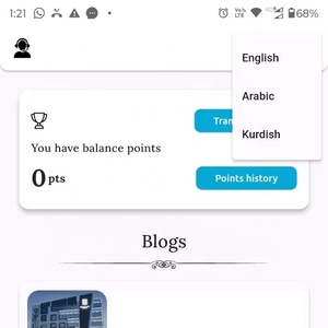 Profession elle mobile App-Entwicklungs dienste für Unternehmen aller Arten, die sichere, funktions reiche und skalierbare Apps bereitstellen