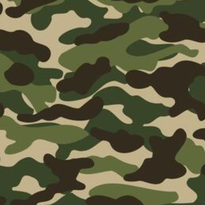 Camuflaje