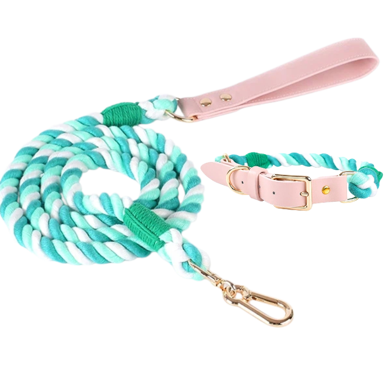 Teal & Mint Gradient