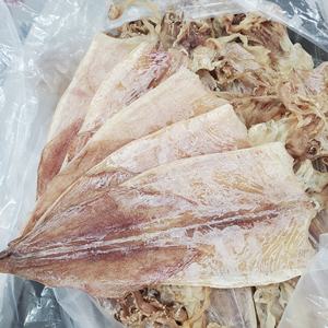 鳥やオウムの食品用にイカから乾燥した高タンパク質、高品質、環境にやさしいCUTTLEFISH BONE