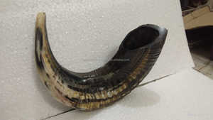 ประวัติเสียง: ฮอร์นของ shofar และความสำคัญในศาสนายิวการเรียกโบราณ: สำรวจการใช้ฮอร์นดื่ม Shofar - Product Image 5