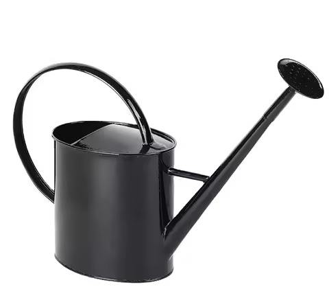 ตามที่แสดง