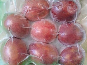 (热价) 冷冻水果火龙果，榴莲，荔枝和百香果的酸甜混合物/越南三角洲的Thao女士 - Product Image 2