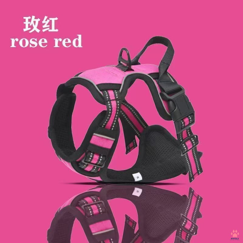 Rose Red