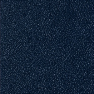 Deep Blue