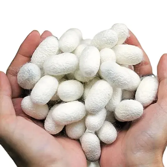 Diskon besar barang Perawatan Wajah Perawatan Kulit sutra alami organik Cocoons bola Silkworm Perawatan Kulit Wajah